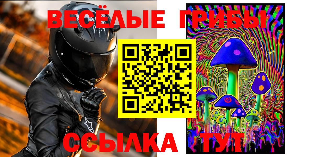 хочу   Галлюциногенные грибы Cubensis  Вход с VPN  Мурманск 
