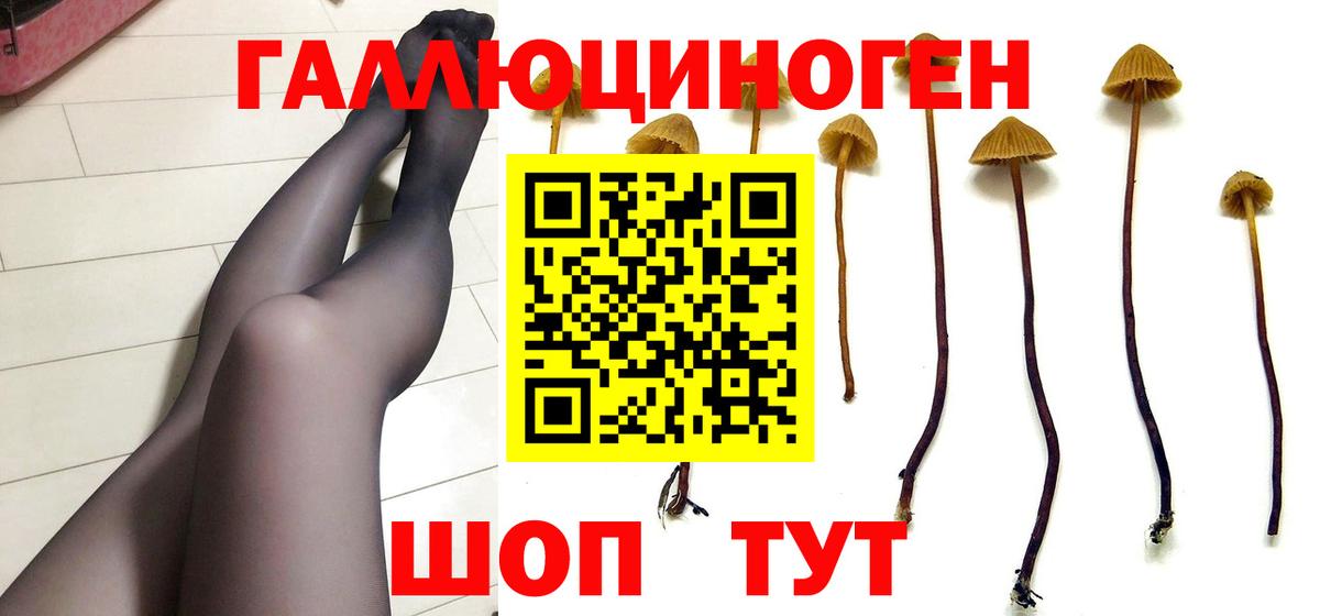Псилоцибиновые грибы GOLDEN TEACHER Мурманск